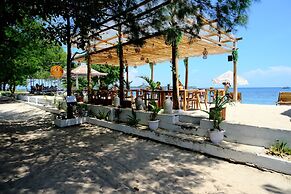 Jungle Gili Air