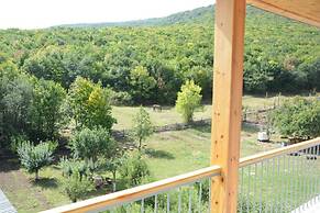 Vardeni Guest House