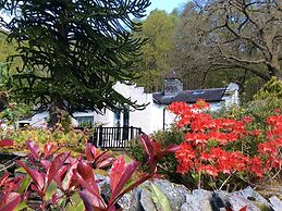 The Dove Cot