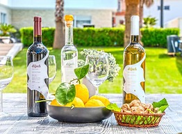 Villa Marija Exclusive Stay