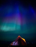 Nomad Greenland