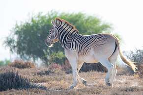 Quagga Lodge