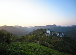Abad Silver Mist