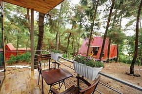 Ecolodge Cat Ba
