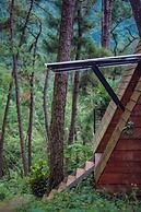 Ecolodge Cat Ba