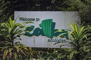 Ecolodge Cat Ba