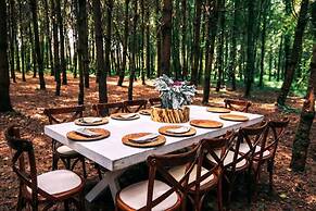 Bosocoso Hotel Boutique