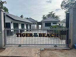 Tiger on the Beach