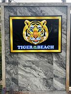 Tiger on the Beach