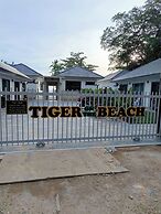 Tiger on the Beach