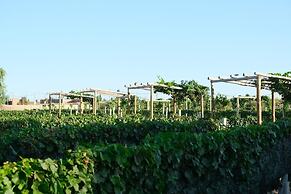 Rincon Del Malbec