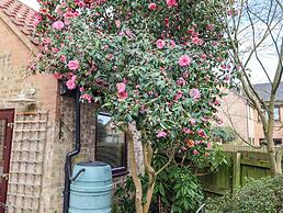 17 Demesne Gardens