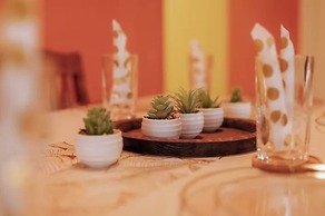 Paradise Oasis