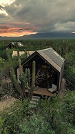 Cactacea Hidden Villas
