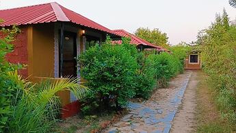 Ranthambhore Tiger Valley
