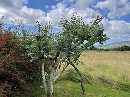 Bosca Neadu