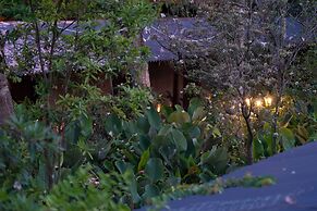 Cascara Weligama