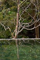 Cascara Weligama