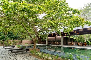 Cascara Weligama