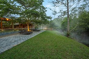 Cascara Weligama