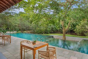 Cascara Weligama