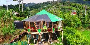 Glamping Horse