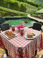 Glamping Horse