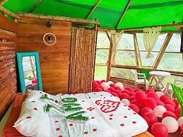 Glamping Horse