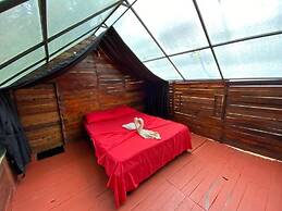 Glamping Horse