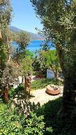Studios Limnionas