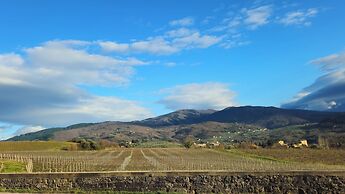 Il Peppolo Country House