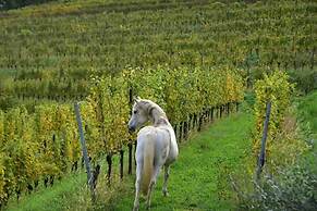 Tenuta Valdomini