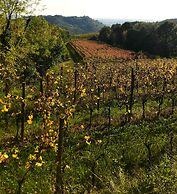 Tenuta Valdomini