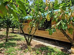 Finca Amistad Cacao Lodge