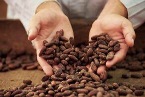 Finca Amistad Cacao Lodge