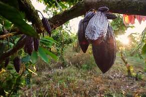 Finca Amistad Cacao Lodge