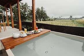 Padi Bali Villa with Private Jacuzzi