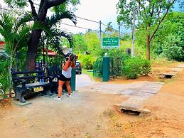 Lal Home Stay