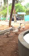 Farm Shaala