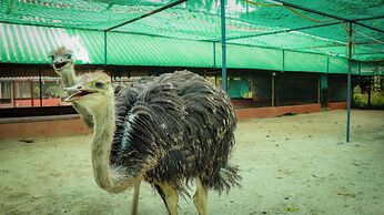 Farm Shaala