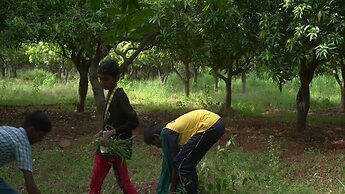 Farm Shaala