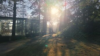 Woodscape