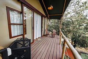 Woodscape