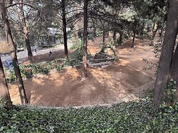 Woodscape