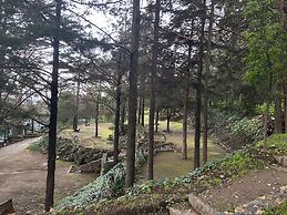 Woodscape