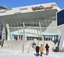 FIFA 2026 - Suites at Waterfront