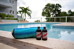 Modern 4BR Hillside Villa Pool Beach Club Access