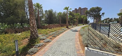 Benidorm Beach 19-153