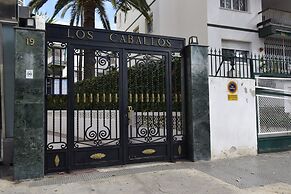Caballos 2D Estudio