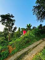 The Tea Tribe Stay - Offbeat Darjeeling